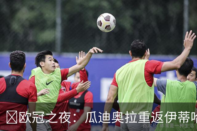 ​欧冠之夜：瓜迪奥拉重返伊蒂哈德，哈兰德双刷纪录仍难救主