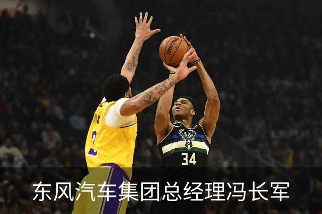 东风汽车集团总经理冯长军