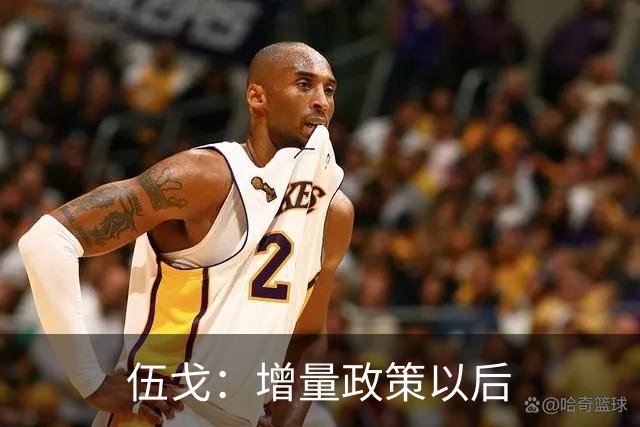 伍戈：增量政策以后