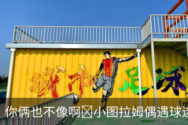 你俩也不像啊😂小图拉姆偶遇球迷：我是莱奥，加拉塔萨雷的莱奥