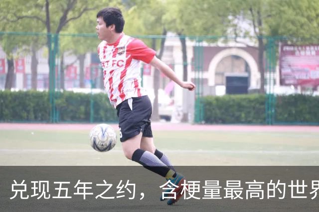兑现五年之约，含梗量最高的世界冠军诞生