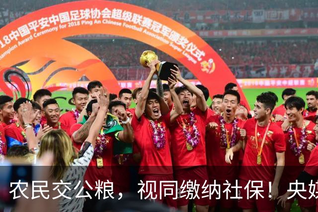 农民交公粮，视同缴纳社保！央媒重磅发声，人大代表建议提高养老金