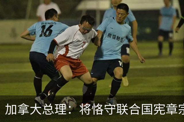 加拿大总理：将恪守联合国宪章宗旨和原则
