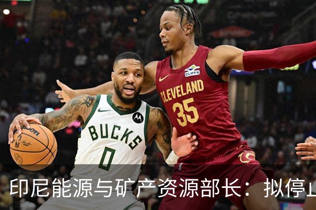 印尼能源与矿产资源部长：拟停止向不尊重印尼的国家供能