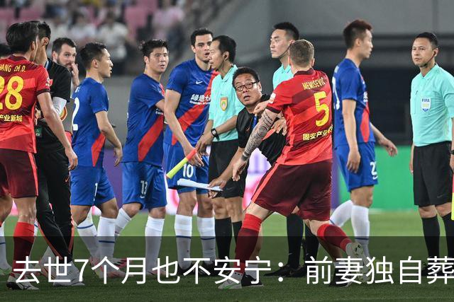 去世7个月也不安宁：前妻独自葬美国，李昌钰被二婚妻子带回江苏