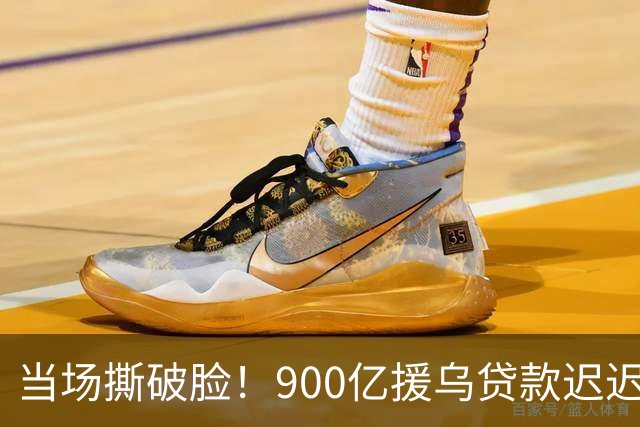 当场撕破脸！900亿援乌贷款迟迟未发，冯德莱恩：欧洲快被吸干了