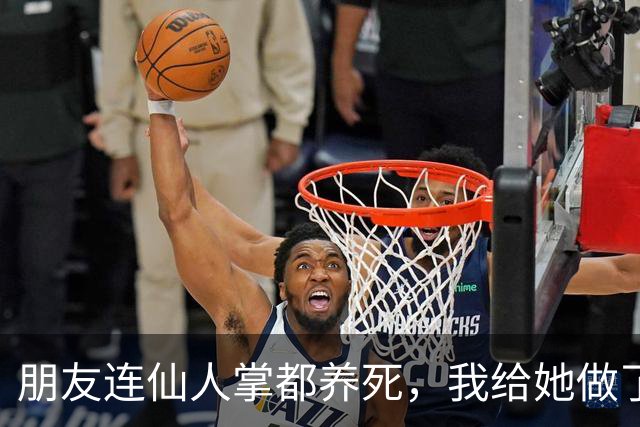 朋友连仙人掌都养死，我给她做了个植物保镖