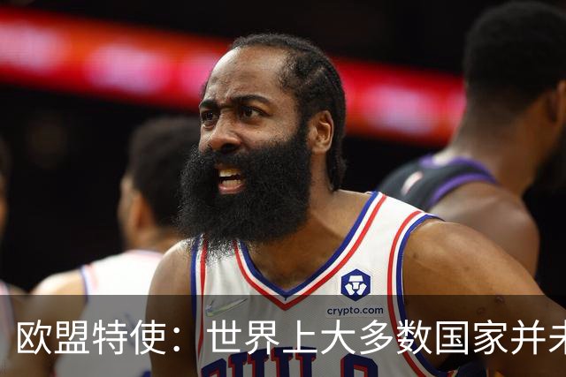 欧盟特使：世界上大多数国家并未遵守欧盟针对俄罗斯实施的制裁
