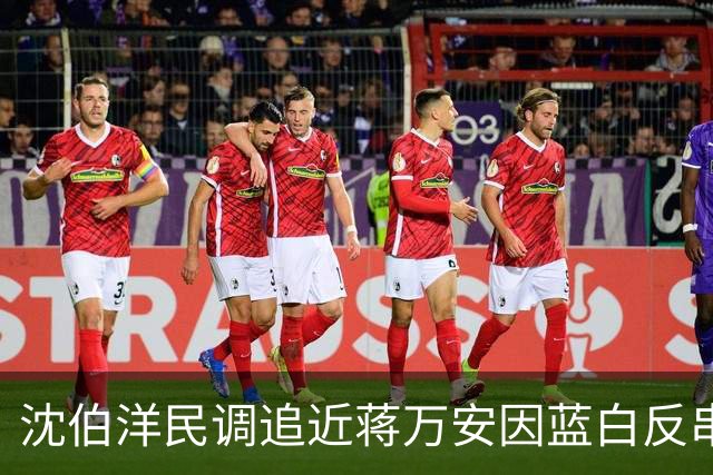 沈伯洋民调追近蒋万安因蓝白反串？台作家：绿营将再现“大罢免”惨败