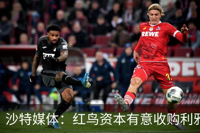 沙特媒体：红鸟资本有意收购利雅得胜利部分股份