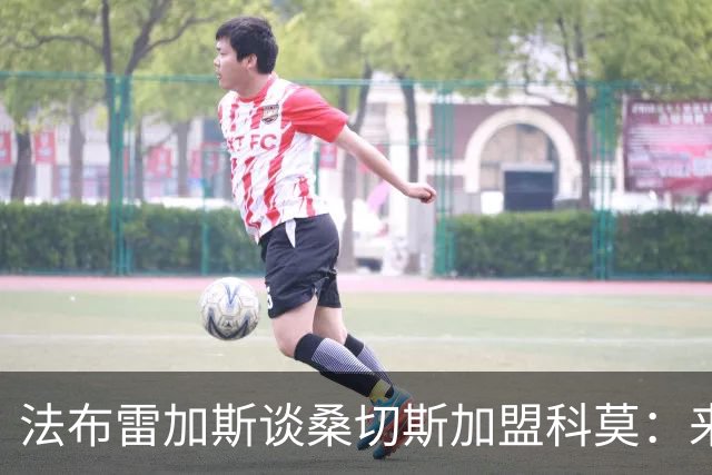 法布雷加斯谈桑切斯加盟科莫：来自重要球队，我们一开始没预料到