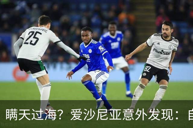瞒天过海？爱沙尼亚意外发现：自家多年来一直在帮俄维护油气管