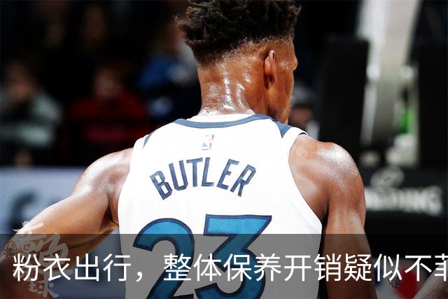 粉衣出行，整体保养开销疑似不菲
