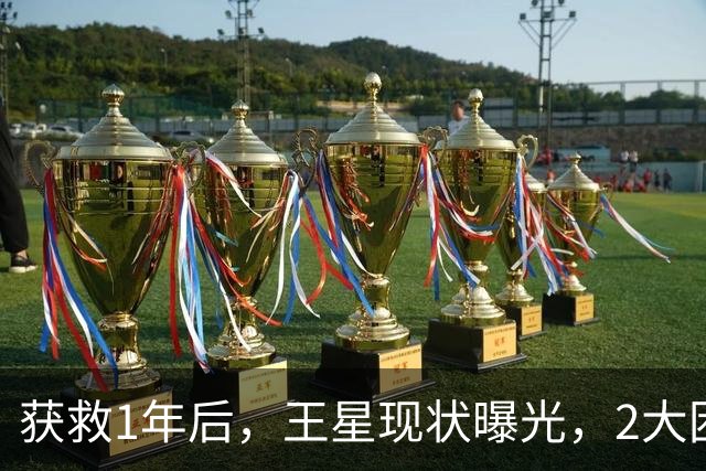 获救1年后，王星现状曝光，2大困境太难解，难怪迟迟不和女友结婚