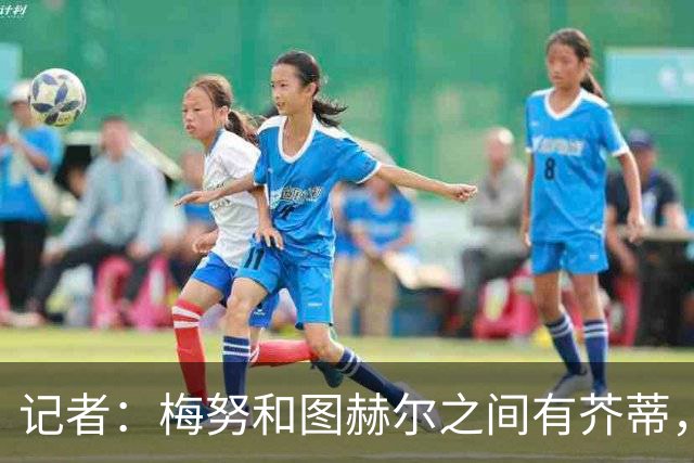 记者：梅努和图赫尔之间有芥蒂，他在英格兰队的未来令人担忧
