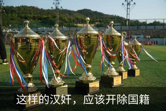 这样的汉奸，应该开除国籍