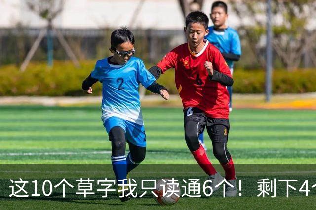 这10个草字我只读通6个！剩下4个，敢来挑战吗？草书中为什么有很多组合形式？是不是越多越好？