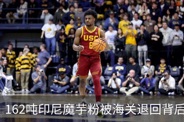 162吨印尼魔芋粉被海关退回背后，数百亿魔芋零食赛道的供应链大考