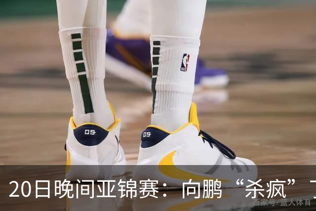 20日晚间亚锦赛：向鹏“杀疯”了，李天阳造惨案，国乒剑指冠军！