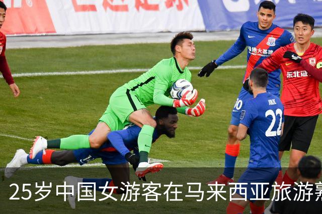 25岁中国女游客在马来西亚旅游熟睡时遭男子闯入脱衣，扭打逃脱又被扯头发摔倒，躲灌木丛一夜
