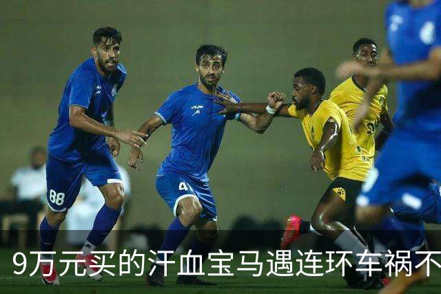 9万元买的汗血宝马遇连环车祸不幸殒命：二审后马主人获赔13.5万，马匹遗体已无害化处理